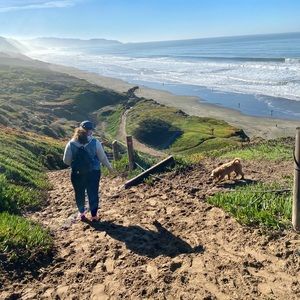 Meet your Posher, Roxy